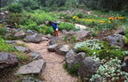 Jardin d'Altitude, Vosges. (132kb)