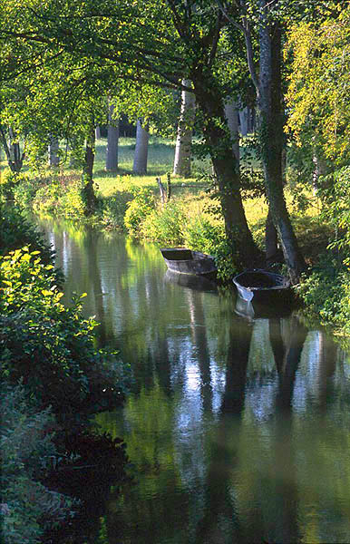 Creek near Couon, Marais-Poitevin, Deux-Svres.