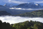 Morning mist near Les Gets, Haute-Savoie. (62kb)