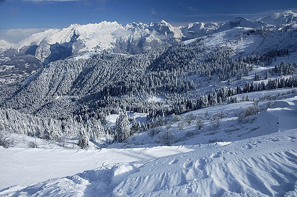 Fresh overnight snowfall, between Samons and Les Carroz.